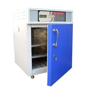 Hot Air Oven